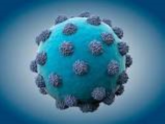 anti-HCV core monoclonal antibody