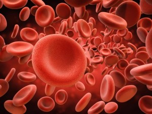 anti-B human blood antigen IgM 