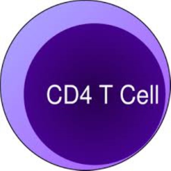 anti-CD4 monoclonal antibody