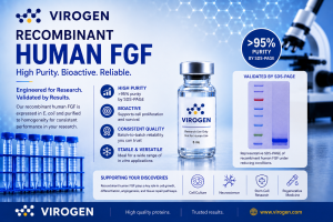 Recombinant human FGF