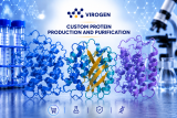 Human Antigens