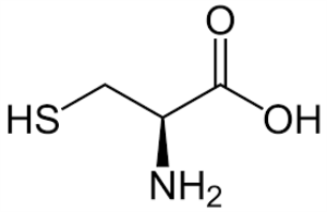 Cysteine