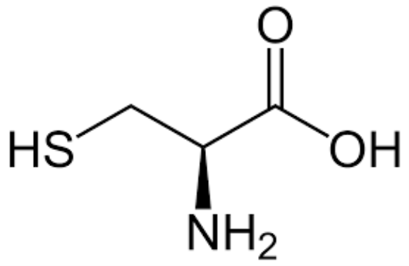 anti-Cysteine monoclonal antibody