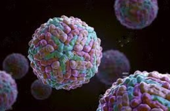 anti-Dengue NS1 protein IgG2a