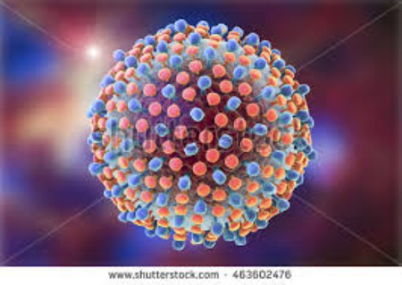 HDV Ag recombinant antigen
