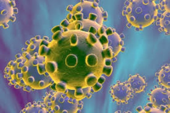 HTLV-I p24 core recombinant antigen.