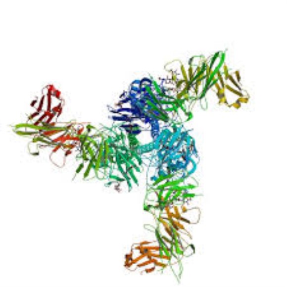 Influenza Virus Hemagglutinin H5