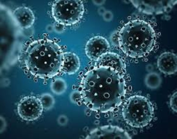 Influenza Virus Hemagglutinin H7