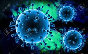 SARS-Associated Coronavirus Recombinant protein C