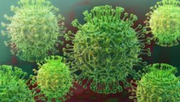 SARS-Associated Coronavirus Spike protein S(M)