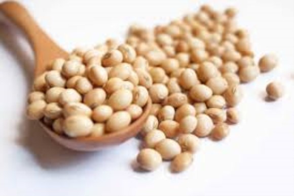 Soy Bean p34 Recombinant protein