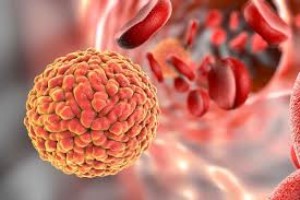 Zika Virus NS1  antigen