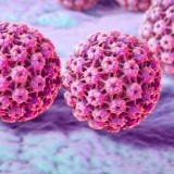 Human Papillomavirus 