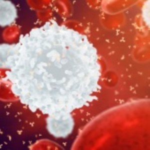 Infectious Disease Antibodies