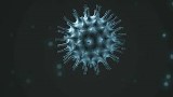 Coronavirus 19 