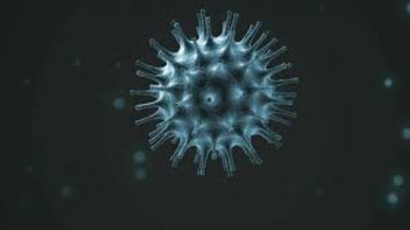Coronavirus 19 Membrane-Envelope Antigen