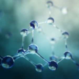 Small Molecules Antibodies